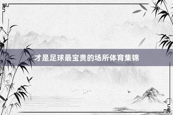 才是足球最宝贵的场所体育集锦
