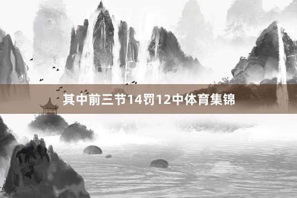 其中前三节14罚12中体育集锦